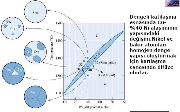 Dengesiz