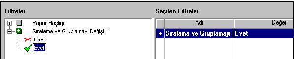 Filtrenin evet olarak seçilmesi