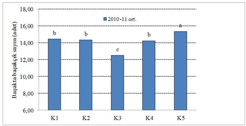 89 Çizelge 4.19.