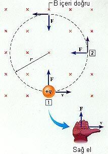 B Alanında Dairesel Hareket Kuvvet için