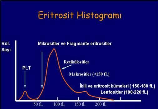 eritrositler hatasız olarak sayılabilmektedir.