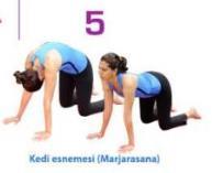 Isınmalar : 5. KEDİ ESNEMESİ (MARJARASANA) VE ÇOCUK DURUŞU (BALASANA) Elleriniz ve dizlerinizin üzerinde durun. Dizleriniz tam kalçalarınızın altında, elleriniz tam omuzlarınızın altında olsun.