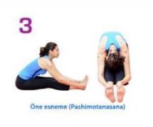 Asanalar : 3. ÖNE ESNEME (PASHİMOTANASANA) Dik oturuştasınız. Bacak ve ayaklarınız bitişik, sırtınız dik, elleriniz kalçalarınızın yanında yerde olsun.