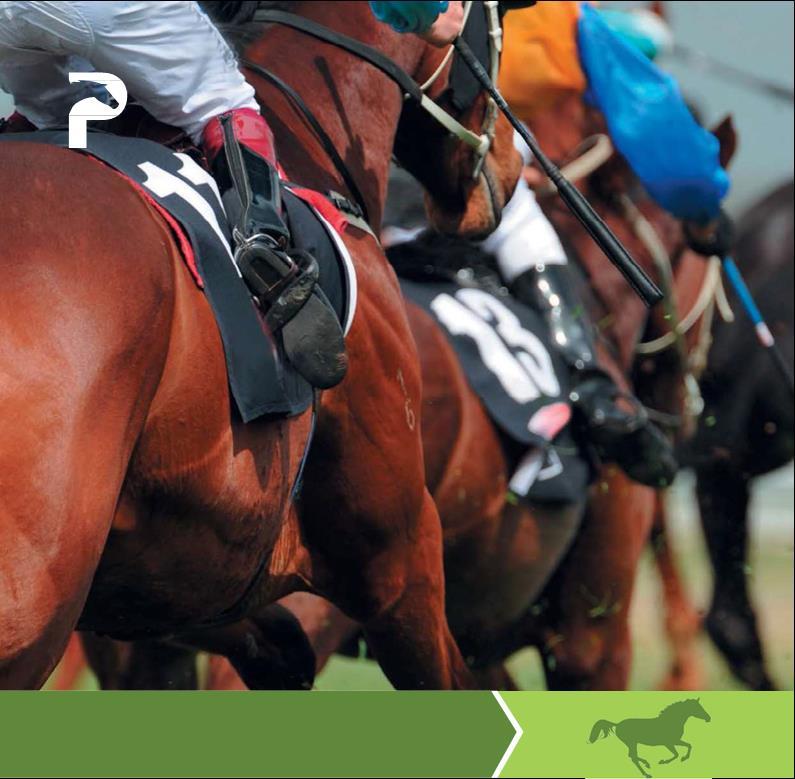 Yarış Ürünleri Yarış ürünleri kategorimizde hedefimiz performans atlarına gereken desteği sağlamaktır.