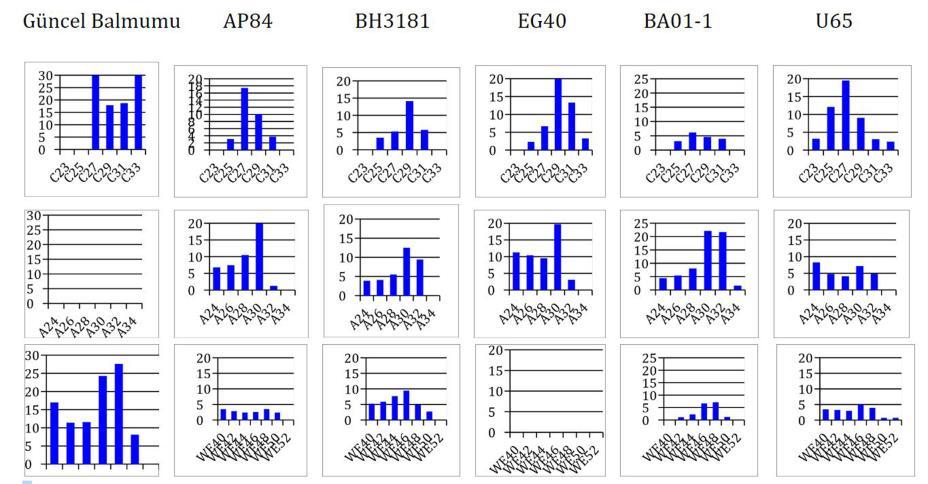 Şekil 4: Barcın BH37686 numaralı çömlek örneğinin iç yüzey kazıntısının organik kalıntı dağılımı.