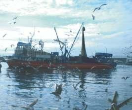 balıkçılık politikasına katılıma ha- zırlamak için alınacak önlemlerin takdimini gerektirir.