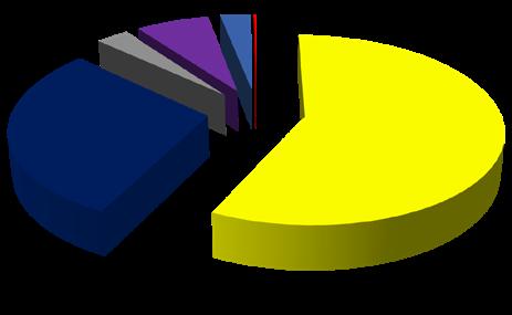 2017 Mali Yılı Stratejik Amaçlara Göre Bütçe Dağılımı Stratejik Amaç 4 6,98% Stratejik Amaç 3 3,10% Stratejik