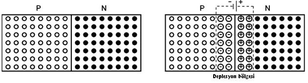 p-n ekleminin ve deplesyon bölgesinin oluşumunun diğer bir gösterimi Şekil 1.6 