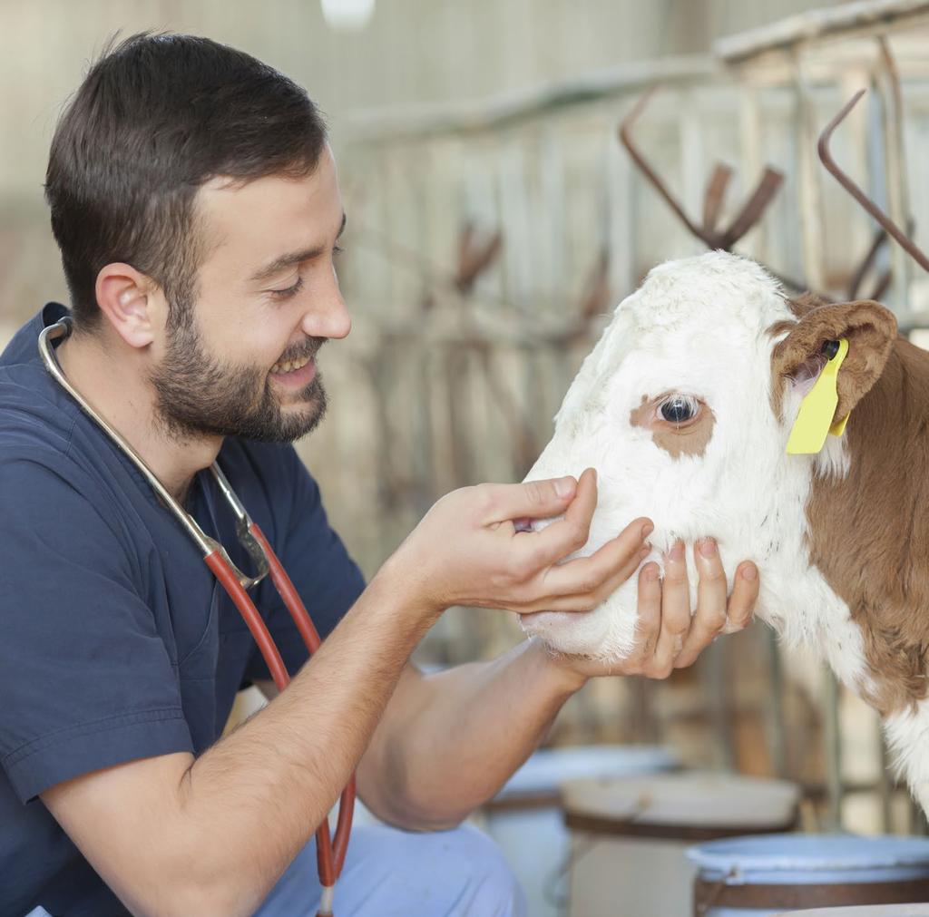 Laborant ve Veteriner Sağlık Önlisans Programının amacı, veteriner hekimliğin çalışma alanı içerisine giren laboratuvar, klinik uygulamalar, hayvansal kökenli gıda güvenliği ve güvenirliği, hayvan