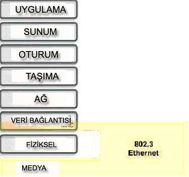 Standartlar en az bant genişliği, en fazla istasyon kullanılması dâhilinde yönetilebilirlilik, her segment için en fazla istasyon sayısı, en fazla segment uzunluğu gibi şeyleri garanti eder.