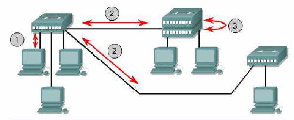 10 Mbps ethernet kablolama ve mimarisi 10BASE-T bağlantıları genellikle çoklayıcı ve anahtarlamalı çoklayıcı ile istasyon arasındaki bağlantıyı içerir.