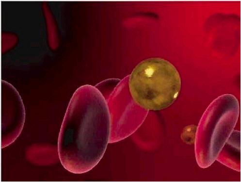 31 çalışmalar nanokabukları içeren biyokonjugatların insan meme kanserindeki HER-2 leri hedeflemek ve görüntülemek için kullanılabileceğini göstermiştir (Loo, 2005)