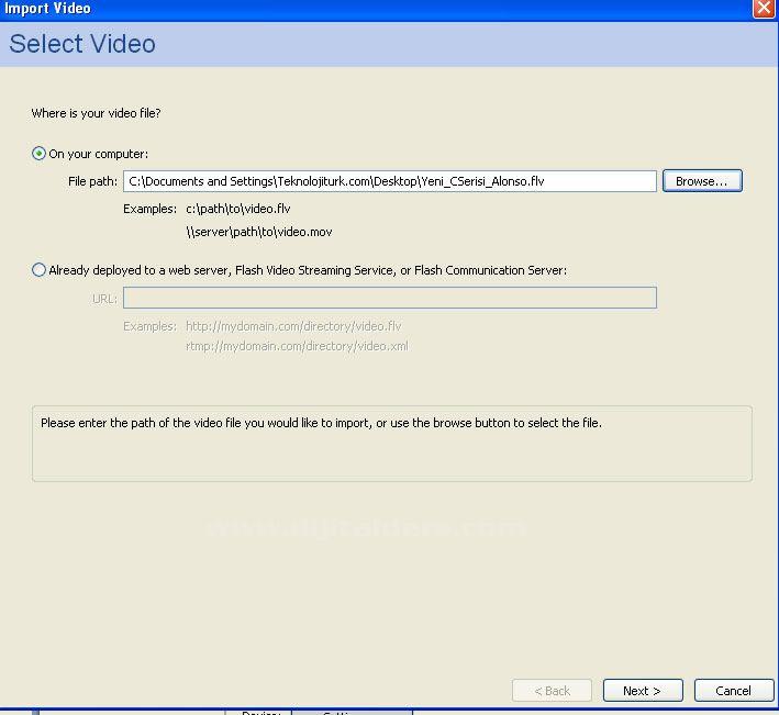 Şimdi ileri diyoruz "next" dedikden sonra karısımıza secenekli (resimde goruldugu gibi) bir pencere gelicek bu pencerede ilk secenek sadece flash içerisen player olmadan bilgisayarların internet