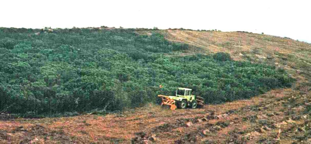 Bölme ve bölmecik sınırlarının; ağaç türlerine ve doğal koşullara göre 7-12 m genişliğinde, özellikle sırtlar, yollar, dereler esas alınarak oluşturulan, çıplak yangın koruma şeritleri ile