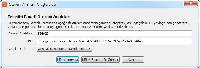 Bu profiller yönetici arayüzünde oluşturulur ve harici destek teknisyeninin sahip olacağı izin seviyesini belirler. Bir profili seçtiğiniz zaman, tam açıklama aşağıda görüntülenecektir.