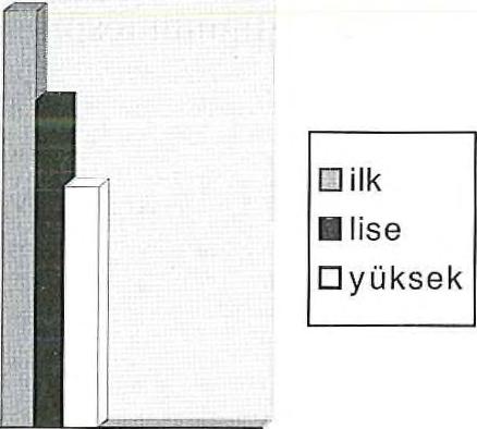 Araştırmamızda, Eğitim düzeyi ile; DMF-T değerleri, türü ve günlük fırçalama sayısı arasındaki ilişki, 6 Cinsiyet ile; DMF-T değerleri, türü ve dolgu sayısı arasındaki ilişki, Yaş grupları ile; DMF-T