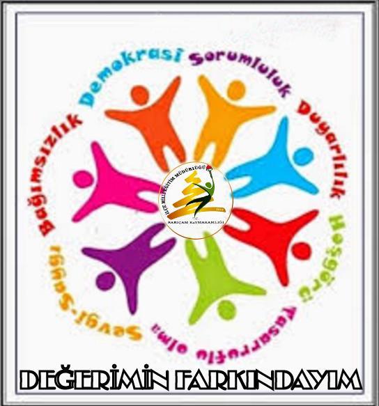 Projenin Adı: DEĞERİMİN FARKINDAYIM Projesi Projenin Sahibi: Sarıçam İlçe Milli Eğitim Müdürlüğü Projenin