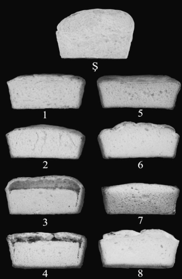Glutensiz Ekmek Karışımların Kalite ve Bileşenler... dokuz farkl m s r niflastas n n PV de erleri 804 ile 1252 HVÜ aras nda de iflti i belirlenmifltir (15).