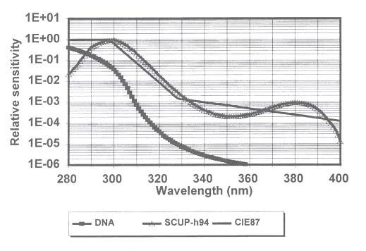 29 boylarına göre DNA bozunumuna etki düzeyleri görülmektedir [21]. Bağıl yoğunluk Dalga boyu (nm) Şekil 3.5. UV ışınlarının DNA bozunumuna etkisi [21] Şekil 3.
