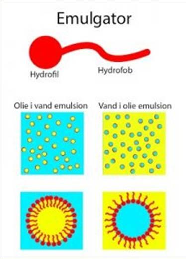 saponinler İyonik Olmayan: Mono ve di-gliseroller ve