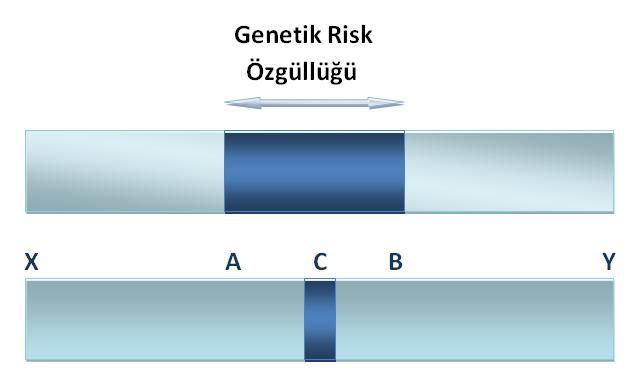 ALTERNATİF SCH MİKST PSİKOZ BP DSM IV SCH SAD BP Prototip Şizofreni Belirgin Psikotik ve