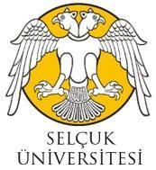 Mehmet MUCUK Tezin İngilizce Adı Industrialization Policies In Atatürk Period On The Basis Of Interventionist Economics SUMMARY The relationship of state and economy is one of the most discussed