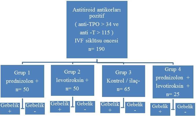 Şekil 1. Araştırma dizaynı. Grup 1 deki tüm hastalar İVF siklusu boyunca, yani ovulasyon indüksiyonu ile birlikte başlayarak, gebelik testi gününe kadar prednizolon 16mg/gün oral yoldan kullanmışlar.