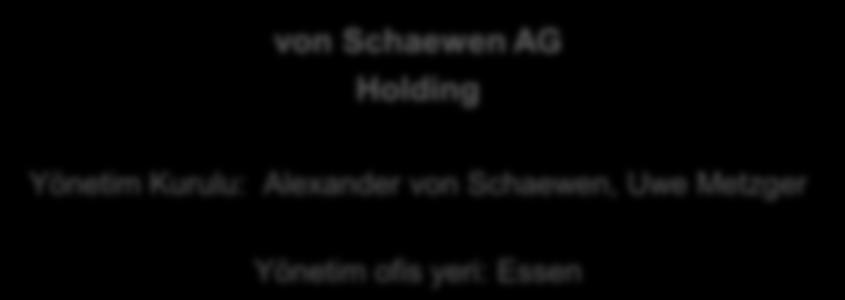 1. Şirket Yapısı von Schaewen AG Holding Yönetim