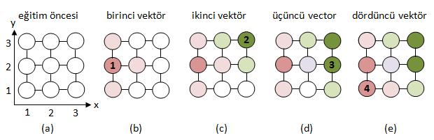 Birinci vektör ağa sunulur. Öklid benzerliği (eşitlik 4.23) kullanılarak birinci vektöre en çok benzeyen referans vektörü belirlenir.