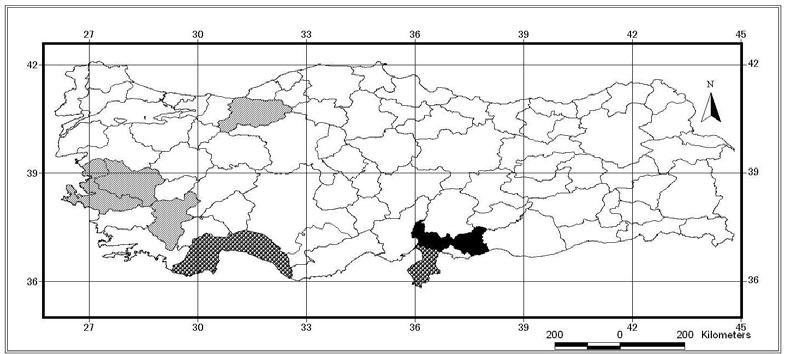 238 EK-3 (Devam). Araştırmada elde edilen taksonların Türkiye yayılışları Ek 3.