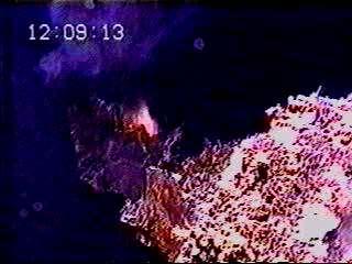 MASİF SÜLFİT YATAKLARININ OLUŞUMU This amazing black smoker (Inferno vent at Axial Volcano) appears to be "flaming", because the fluid it is venting is at 348 C, the boiling point