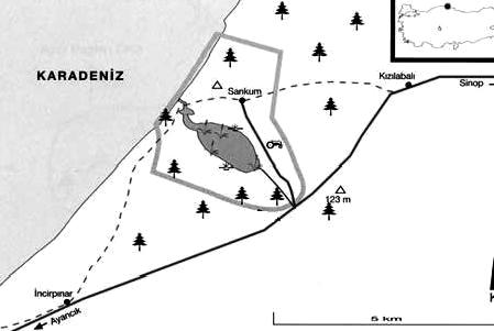 mak amacı ile 24 saat bekletilmiştir. Bu lamellerden yapılan geçici preparatlarda algler teşhis edilmiştir.