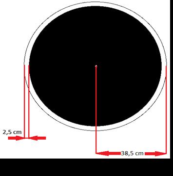 2.Pist Teknik Özellikleri Pist 77 cm çapında siyah ve çevresinde 2,5 cm kalınlığında beyaz uyarı çizgisi olan mdf yapılmış daire şeklindedir.(resim 1) 3.