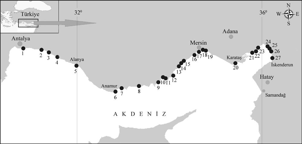 Materyal ve Metot Çalışma, Nisan 2005-Aralık 2006 tarihleri arasında, batıda Antalya (Kalkan) ve doğuda Hatay (Samandağ) olmak üzere 1350 km uzunluğundaki kıyı şeridinde gerçekleştirilmiştir.