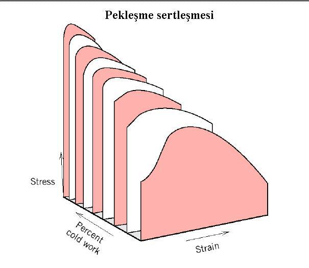 pekleşme üsteli (n = 1 )