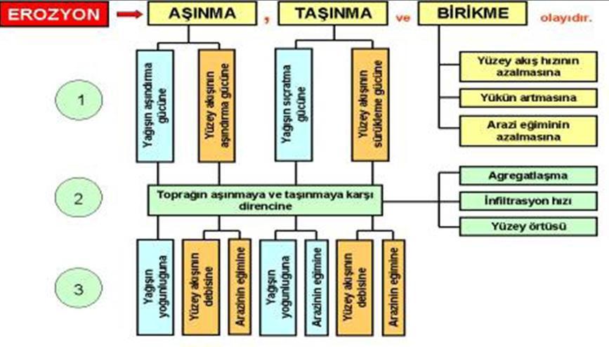 Şekil 1.