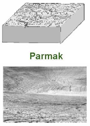 Olukların derinliği 2-3 cm.