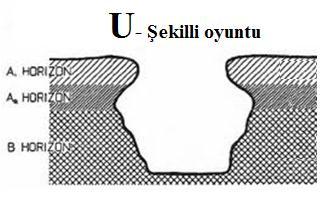 Şekil bakımından belli başlı iki cins oyuntu vardır. Bunlar enine kesitleri V- şeklinde ve U- şeklinde olan oyuntulardır.