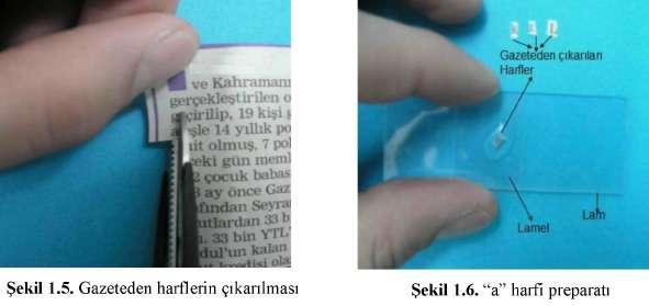 3 MİKROSKOBUN BÜYÜTMESİ = OKÜLERİN BÜYÜTMESİ x OBJEKTİFİN BÜYÜTMESİ Örneğin; oküler 5x, objektif 40x olan bir mikroskobun büyütmesi = 5x40 = 200 olarak bulunur.