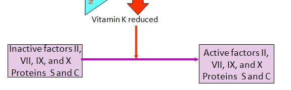 Varfarin -Hem antitrombotik