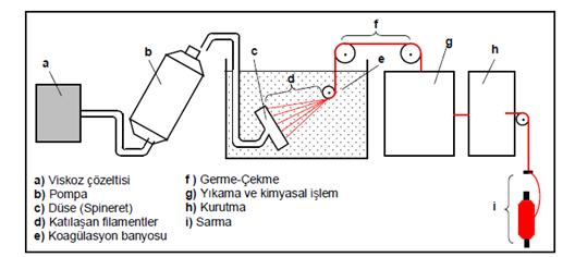 30 Viskon üretiminde söz konusu ağaçlar; kabuk kısımları çıkarıldıktan sonra, talaş adı verilen küçük parçalara ayrılmaktadır.