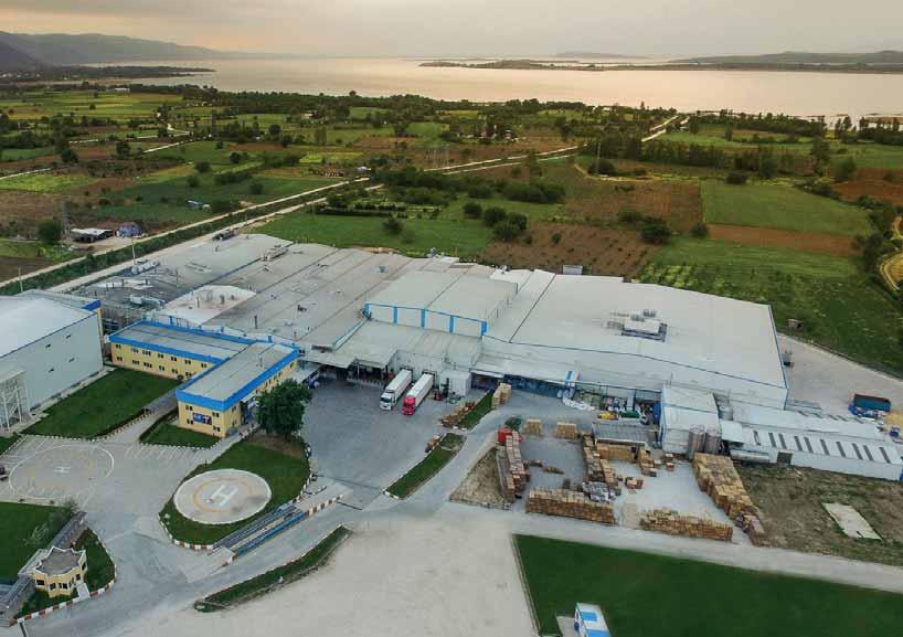 ANSLAR sayfa 1 GOLF GIDA PAZARLAMA VE DAĞITIM LTD.ŞTİ.