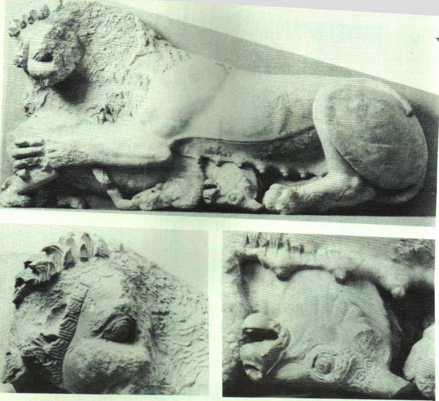 190 Akropolis'teıı kireçtaşı dişi aslan ve boğa.