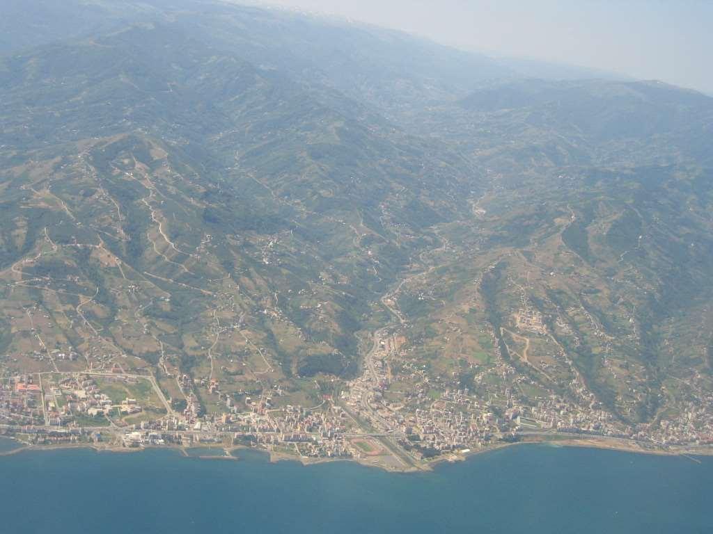 1994 de sürdürülebilir kent ormancılığı konusuna farklı bir bakış açısı getirilmiş, kent ormancılığına ormancılık ve arborikültür bilimi ve çalışmalarını bir bileşimi olarak yaklaşılmıştır.