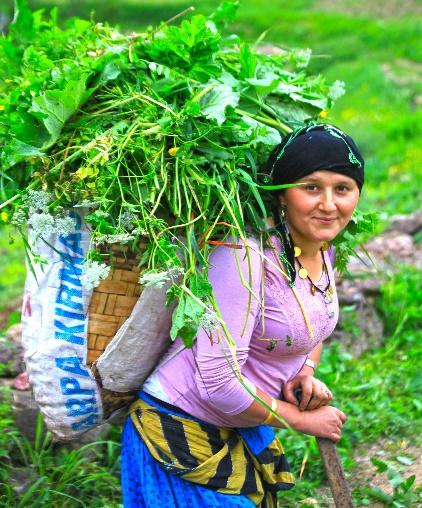 Kırmızı pullu alabalık, anıtsal ağaçlar, gürül gürül derelerin uzak yaylalara çıkan yol boyunca eşlik ettiği yol boyunca üçü endemik (yöreye özgü) olmak üzere 356 bitki, üç endemik böcek türü ve el