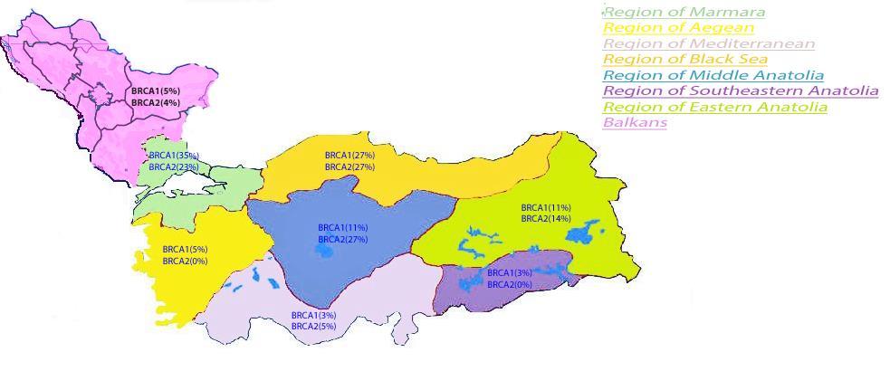 Figure 5: Distribution of BRCA1 and BRCA2 mutations according to geographical regions in Turkey.