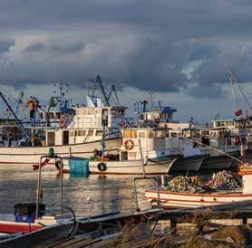 çeşitliliği ile uzun bir tarihsel süreç boyunca birbirinden farklı birçok kültürle yaşanan etkileşim sonucunda ortaya çıkmıştır.