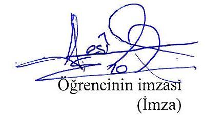 T. C. SELÇUK ÜNİVERSİTESİ Sosyal Bilimler Enstitüsü Müdürlüğü Bilimsel Etik Sayfası Adı Soyadı Nesil EROL Numarası 094204001006 Öğrencinin Ana Bilim / Bilim Dalı Sanat Tarihi/Türk ve İslam Sanatları