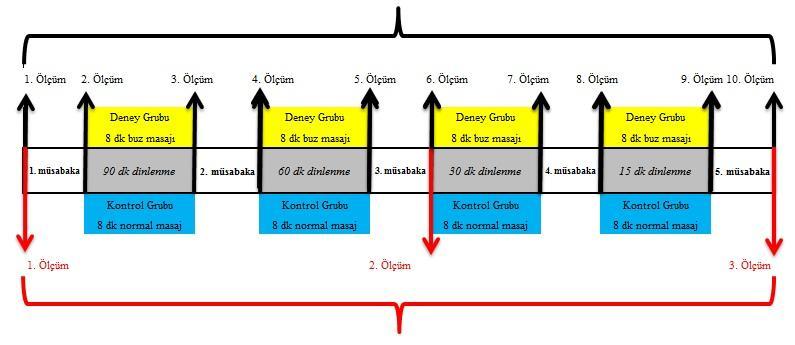 Kalp atım hızı, laktat, vücut sıcaklığı ölçüm zamanları Miyoglobin ve Kreatin Kinaz(CK) ölçüm zamanları Şekil 8: Deneysel Dizayn 3.