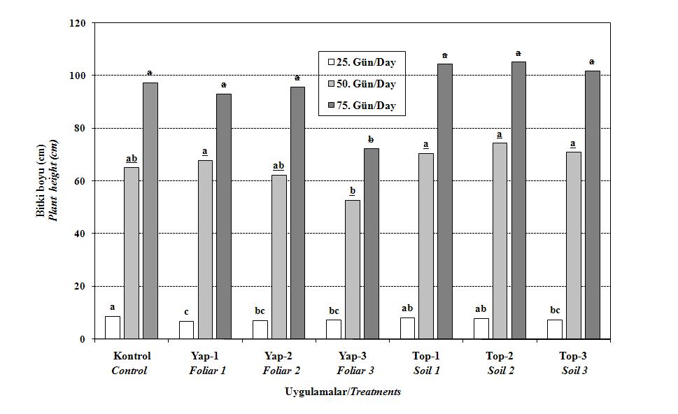Şekil. 6. Pro-Ca uygulamalarının bitkilerde gövde uzunluğu üzerine etkileri. Figure 6. The effects of Pro-Ca applications on plant height. Şekil.7.